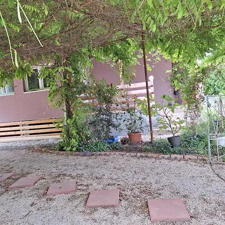 Lilaakac Vendeghaz Harkány